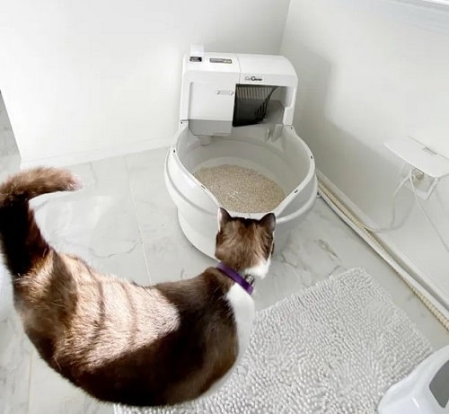 CatGenie-Self Washing Self Flushing Cat Box 