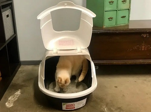 Favorite Jumbo Covered Enclosed Cat Litter Box