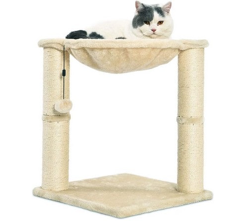 Amazon Basics Cat Condo Tree Tower
