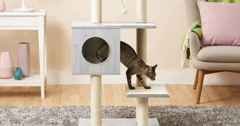 Best Cat Tree For Small Apartment