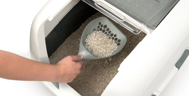Clean Covered Litter Box