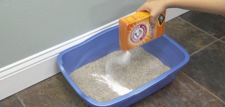 Clean Litter Box With Baking Soda