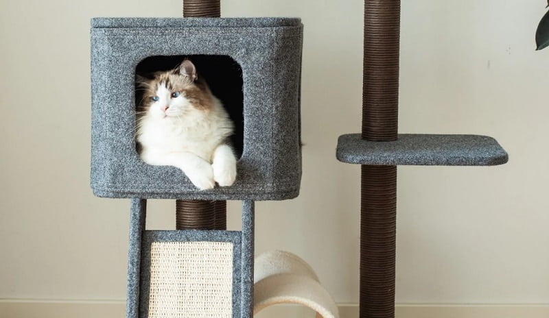 Best Cat Trees For Small Spaces