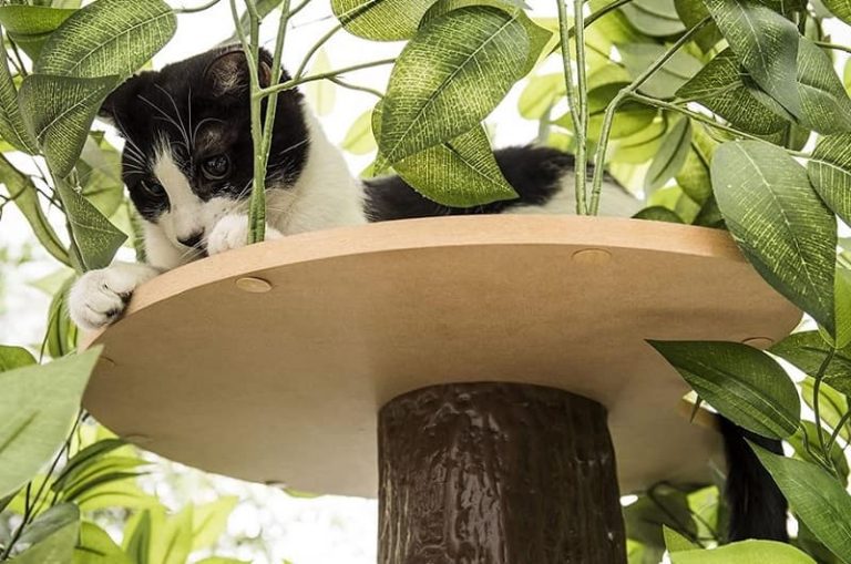 Cat Tree With Leaves