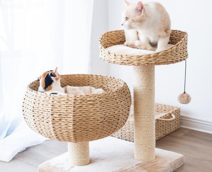 Small Cat Trees For Large Cats